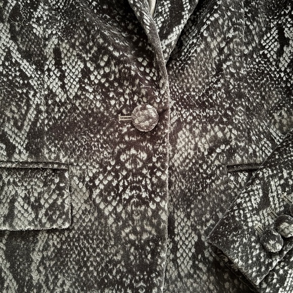 Frame Velvet Python Blazer - Picture 9 of 16